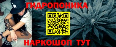 индика Северобайкальск