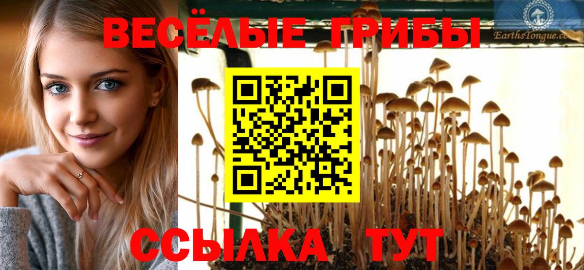 Галлюциногенные грибы мицелий Сибай