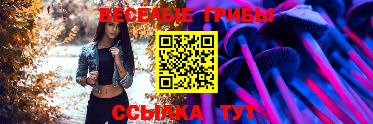 Сибай  Псилоцибиновые грибы прущие грибы  Вход с VPN 